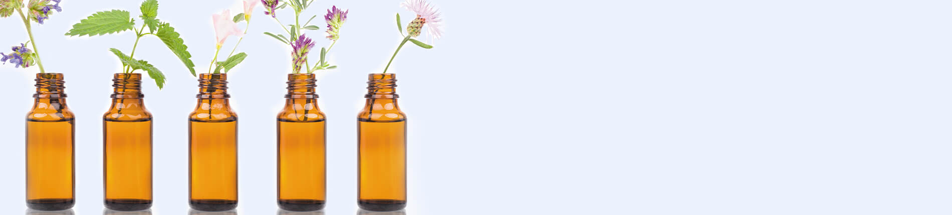 קורס פרחי באך