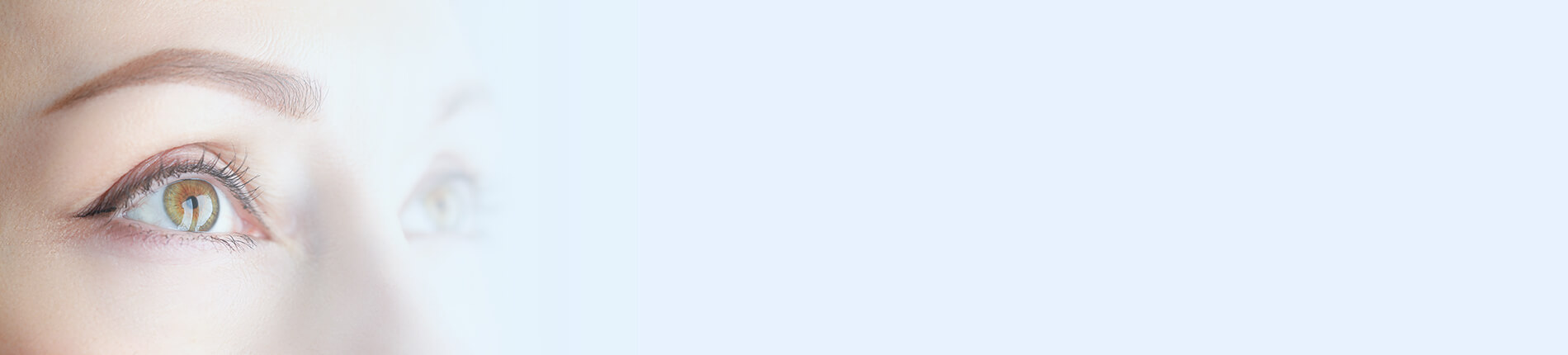 קורס אירידיולוגיה