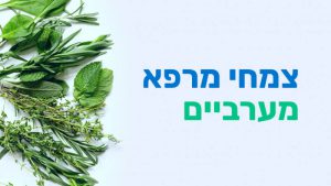 קורס צמחי מרפא מערביים