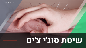 שיטת סוג'י צ'ים